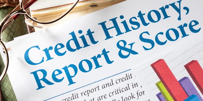 Credit history